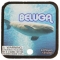 BELUGA - MEGA MARBLES - MEGA MARBLES 24+1 (2013-2018) (FACE)